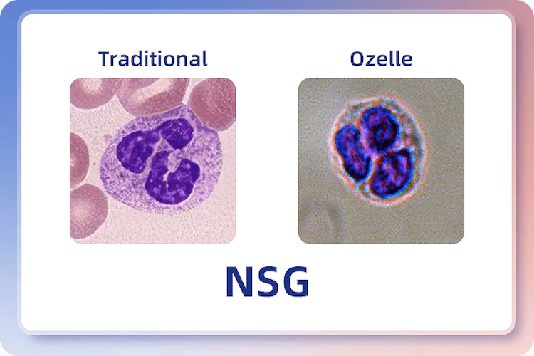 High-Resolution Liquid Cytology Imaging